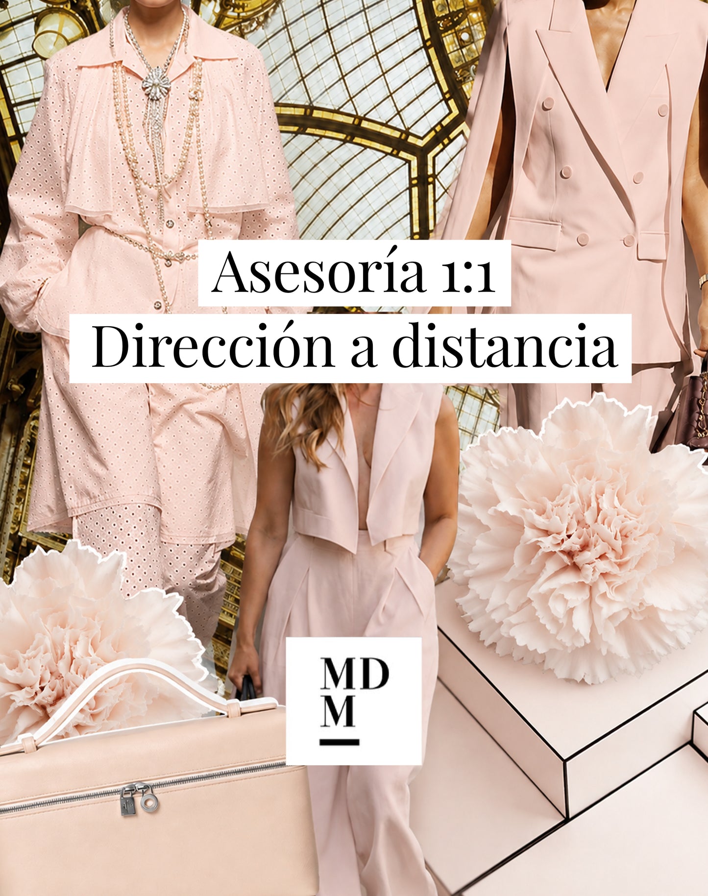 Asesoría 1:1 Dirección a distancia
