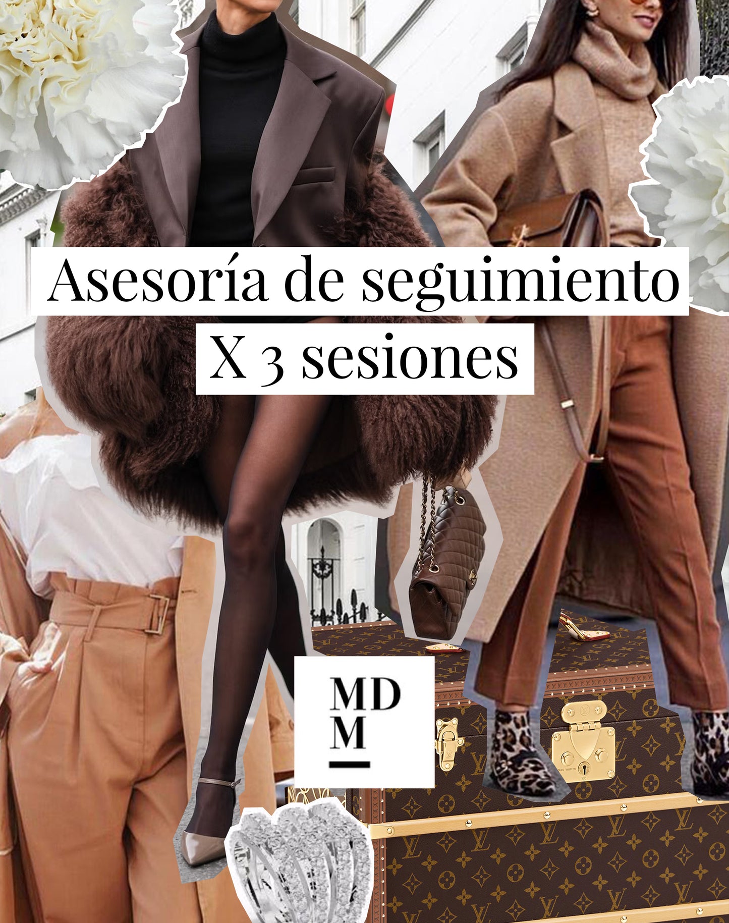 Asesoría X 3 sesiones