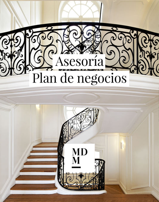 ASESORÍA PLAN DE NEGOCIOS