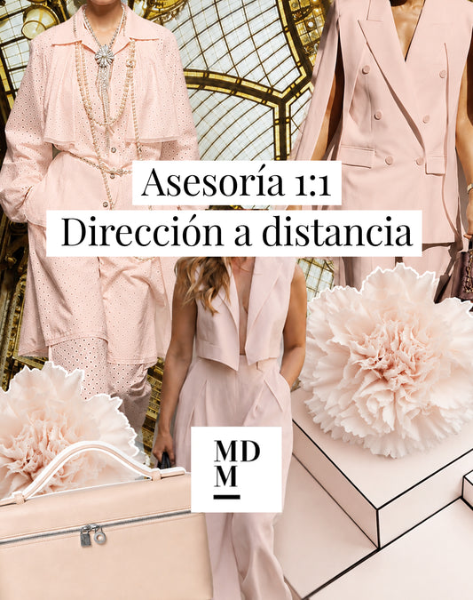 Asesoría 1:1 Dirección a distancia