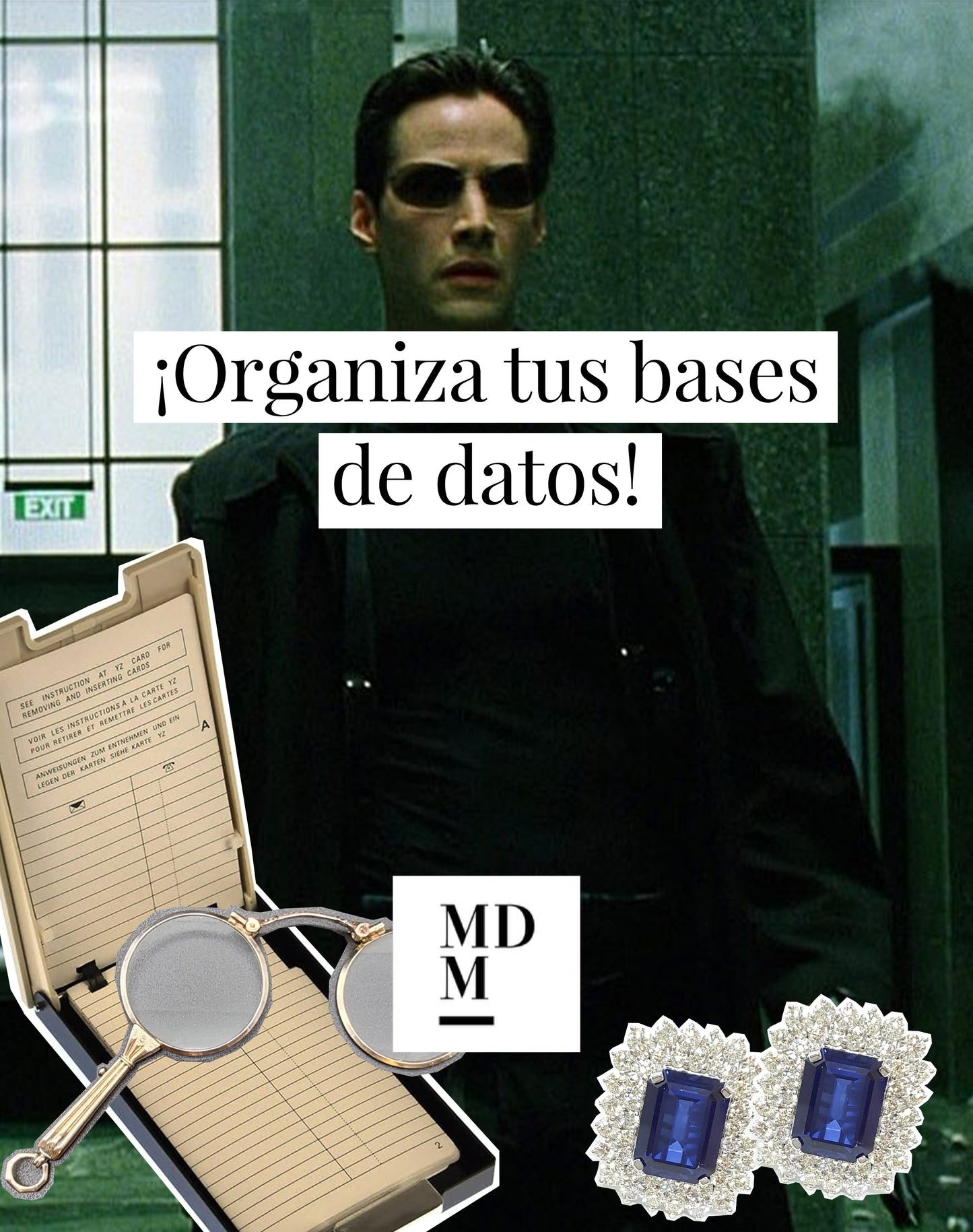 ¡Organiza tus bases de datos!